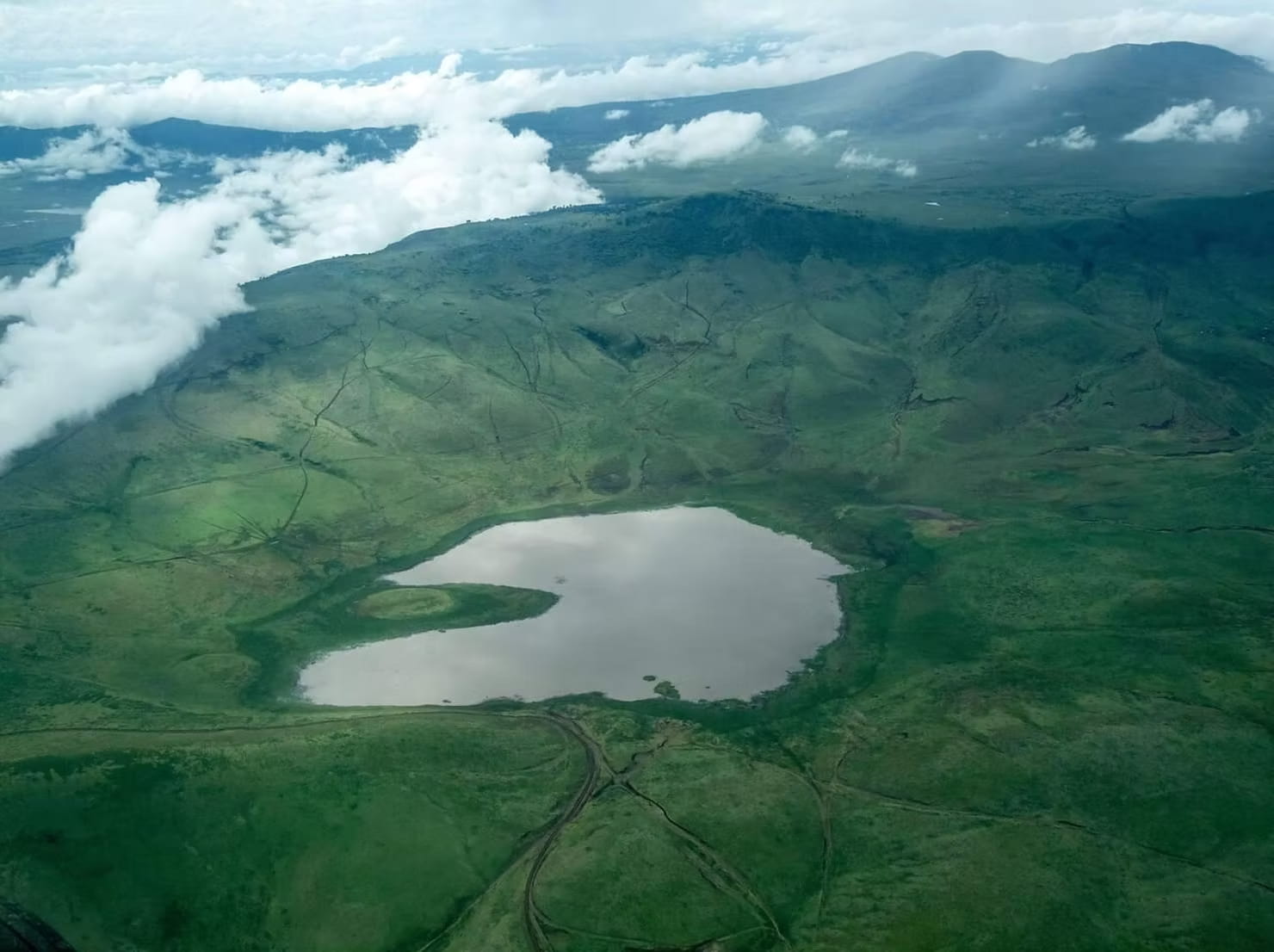Ngorongoro Safari